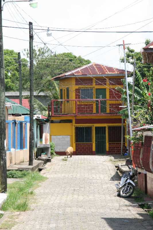 Mexico & Guatemala 2010 - 1002